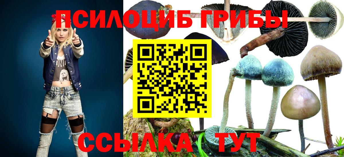 Псилоцибиновые грибы прущие грибы  Вход с VPN  Ртищево 